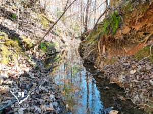 default 8.42 Acre Wooded Homesite In Woodruff, SC