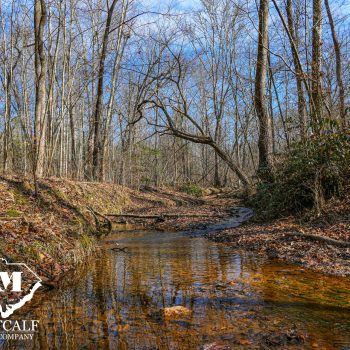 58.4 Acre Hardwood Tract in Cherokee County