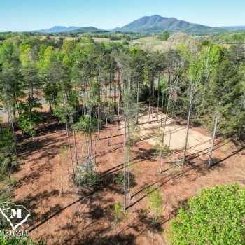 3.64 Acre Homesite in Tryon Equestrian Farms