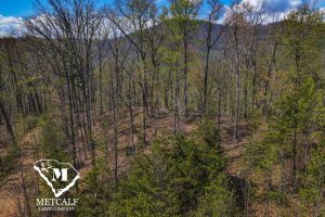DJI_0740 Mountaintop Homesite in Gated Community in Tryon, NC