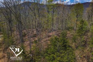 DJI_0741 Mountaintop Homesite in Gated Community in Tryon, NC
