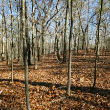 P1030108