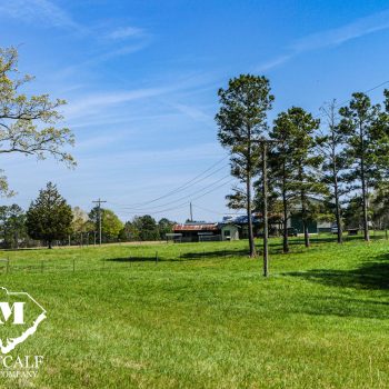96 Acre Farm in Union County