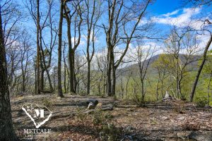 P1030651 Mountaintop Homesite in Gated Community in Tryon, NC