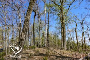 P1030657 Mountaintop Homesite in Gated Community in Tryon, NC