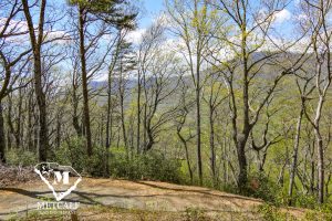 P1030659 Mountaintop Homesite in Gated Community in Tryon, NC