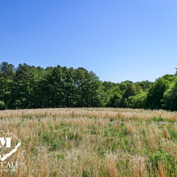 4 Acre Homesite in the Grassy Pond Area