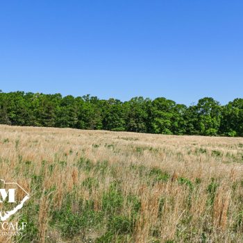 6.8 Acre Homesite in the Grassy Pond Area