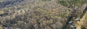Beautiful acres of land that can turn into developmental property