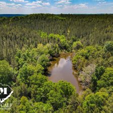 DJI_0813