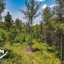 DJI_0815
