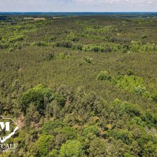 DJI_0818