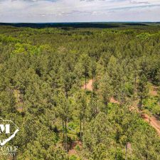 DJI_0842