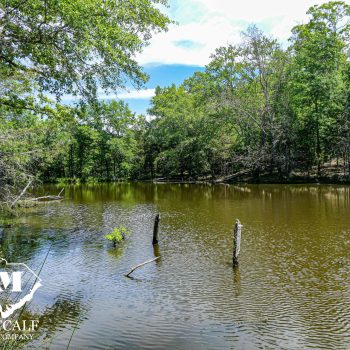 49 Acre Recreational Tract in Union County