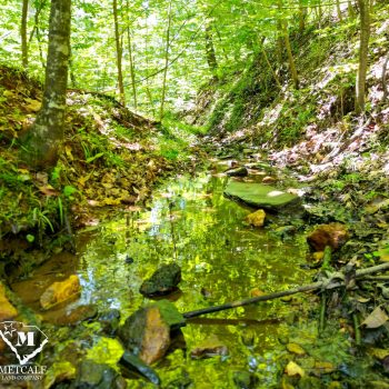 Premier 3.54 Acre Homesite in Landrum