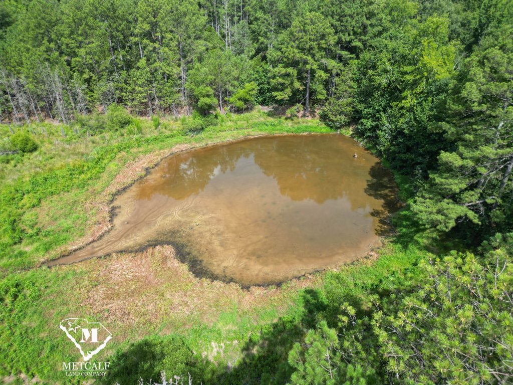 47 Acre Recreational Tract in Edgefield w/ Pond