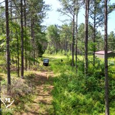 12 70 Acre Pine Plantation on Swink Creek