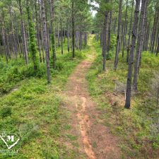 13 70 Acre Pine Plantation on Swink Creek