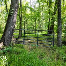 15 70 Acre Pine Plantation on Swink Creek