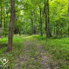 16 70 Acre Pine Plantation on Swink Creek