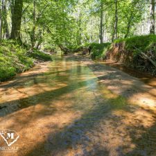 17 70 Acre Pine Plantation on Swink Creek