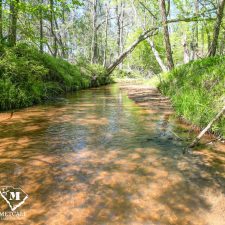 18 70 Acre Pine Plantation on Swink Creek