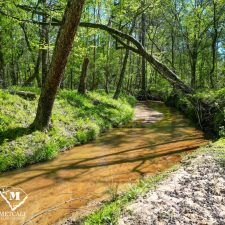 19 70 Acre Pine Plantation on Swink Creek