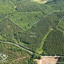 2 70 Acre Pine Plantation on Swink Creek