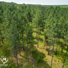 25 70 Acre Pine Plantation on Swink Creek