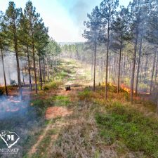 26 70 Acre Pine Plantation on Swink Creek