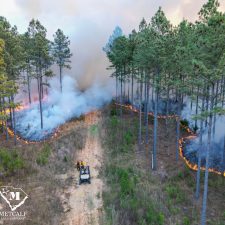28 70 Acre Pine Plantation on Swink Creek