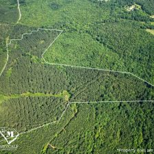 3 70 Acre Pine Plantation on Swink Creek