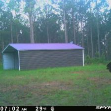 35 70 Acre Pine Plantation on Swink Creek