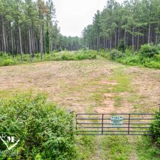 4 70 Acre Pine Plantation on Swink Creek