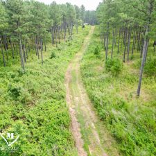 6 70 Acre Pine Plantation on Swink Creek