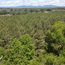 DJI_0882