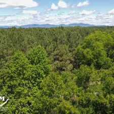 DJI_0883