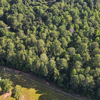 Country Homesite on 8± Unrestricted Acres