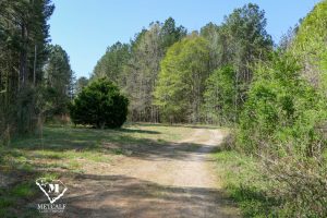 P1030687 11 Unrestricted Acres in Spartanburg County