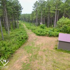 before 10 70 Acre Pine Plantation on Swink Creek