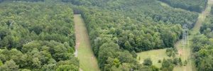 20 Acres on Skelton Creek in Gaffney