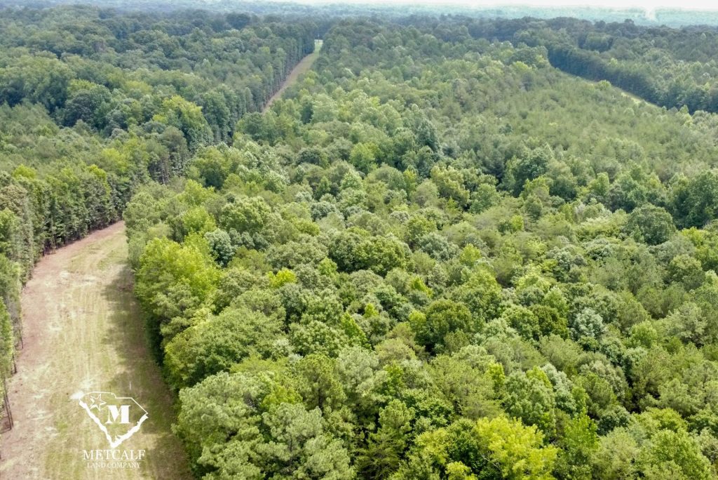20 Acres on Skelton Creek in Gaffney