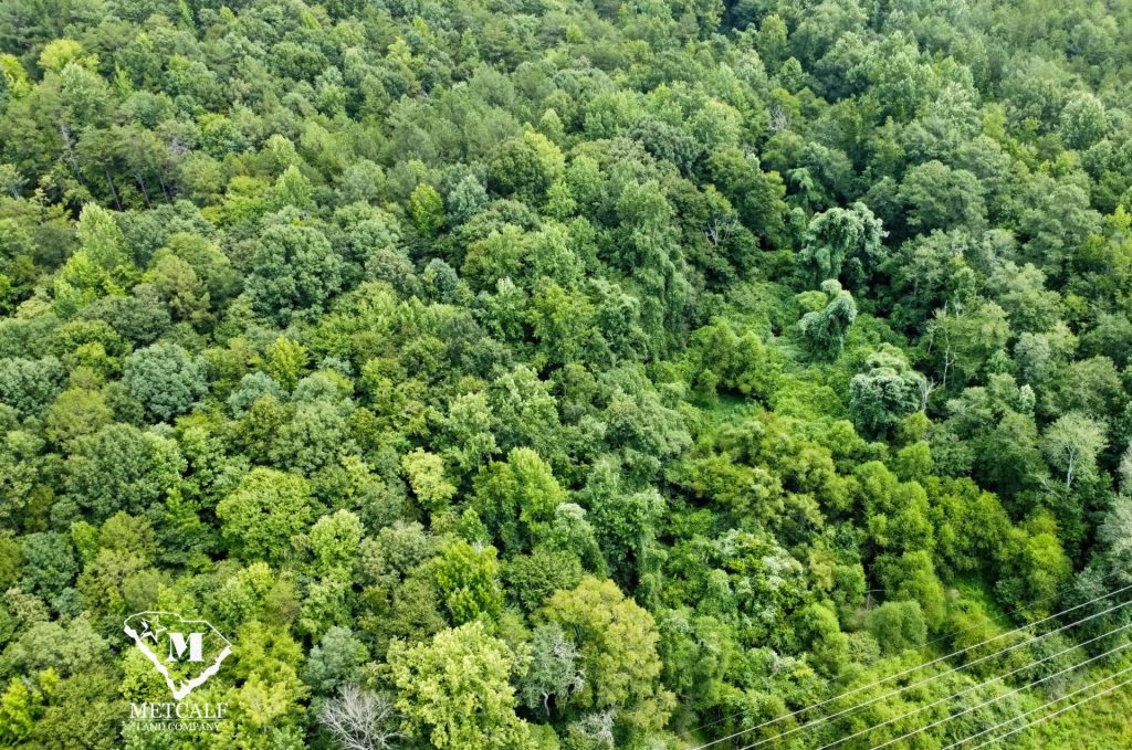 20 Acres on Skelton Creek in Gaffney