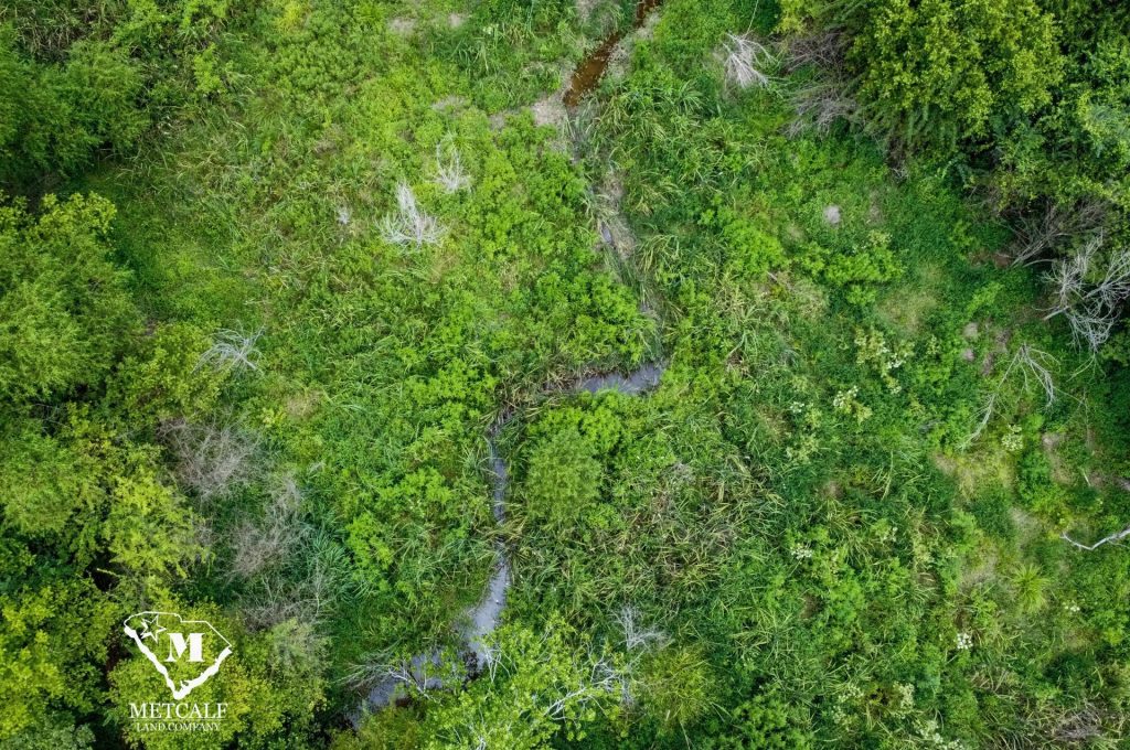 20 Acres on Skelton Creek in Gaffney
