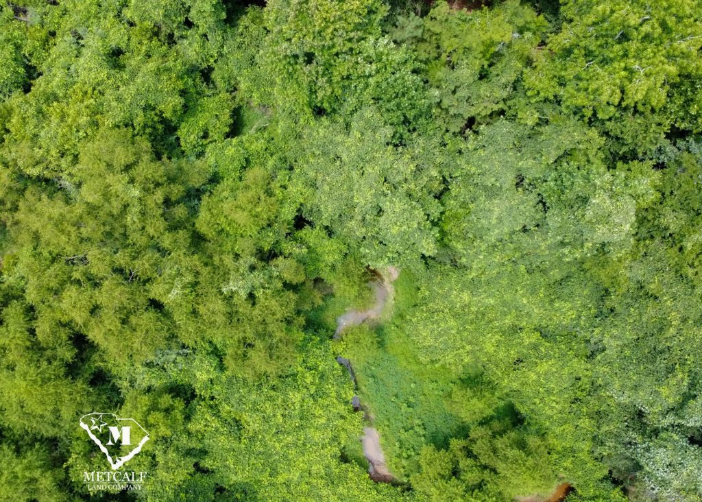 20 Acres on Skelton Creek in Gaffney