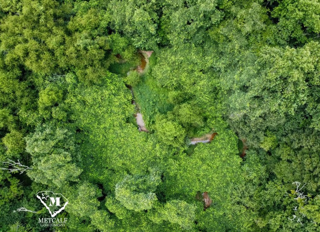 20 Acres on Skelton Creek in Gaffney