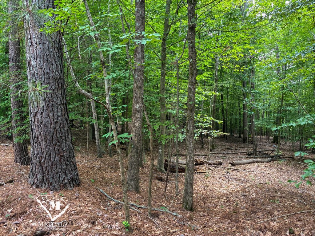 20 Acres on Skelton Creek in Gaffney