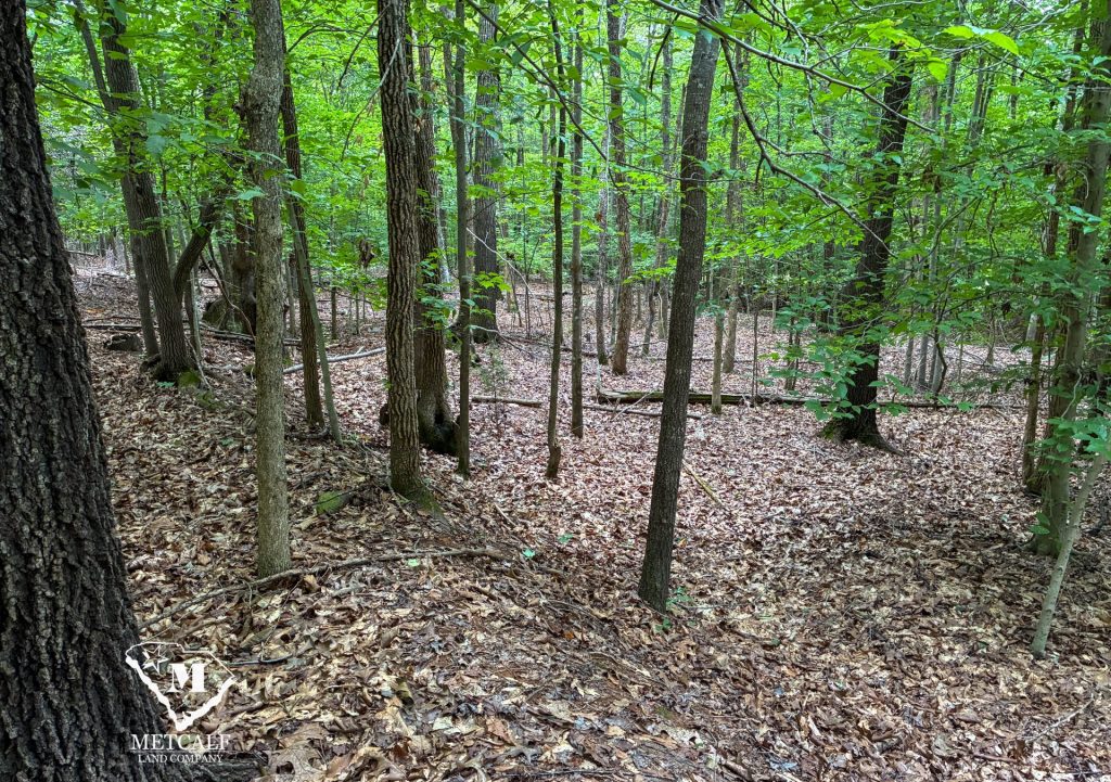 20 Acres on Skelton Creek in Gaffney