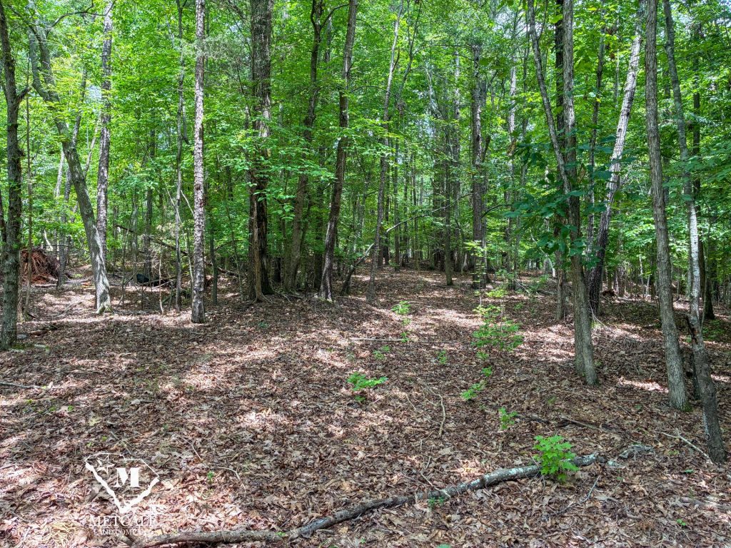 20 Acres on Skelton Creek in Gaffney