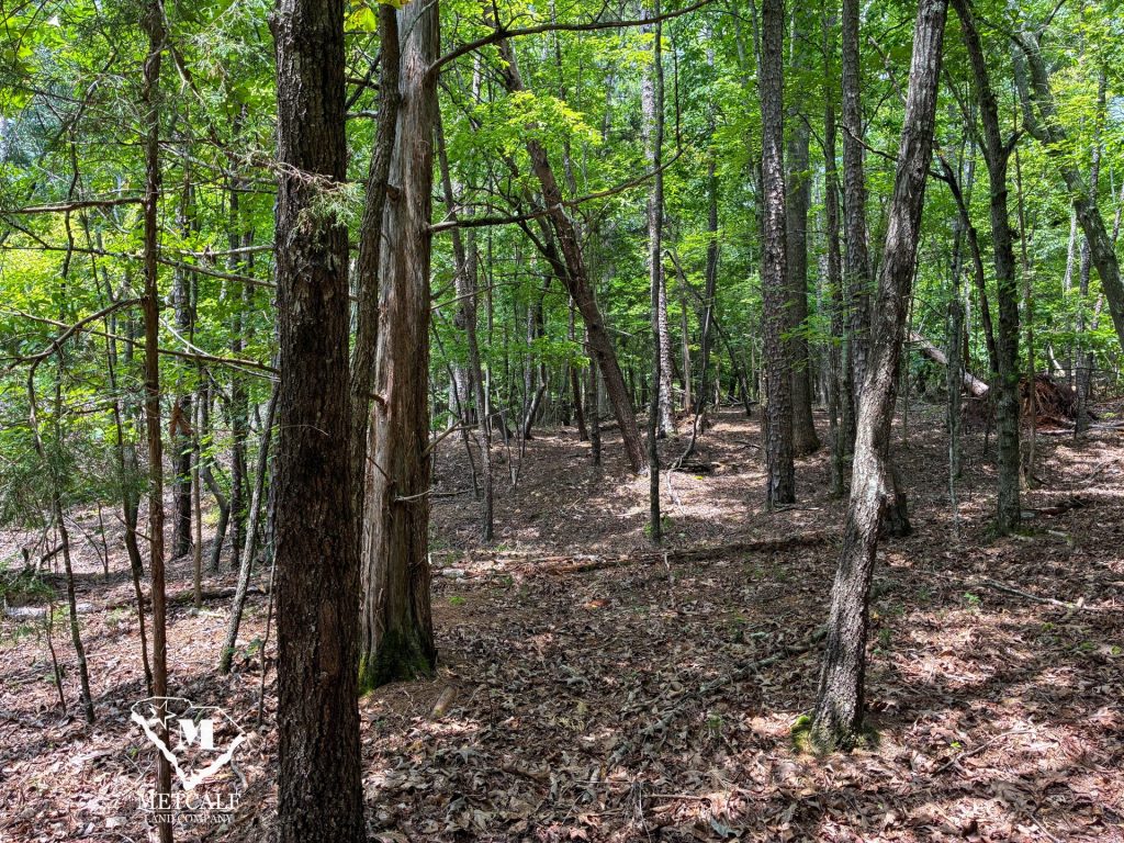 20 Acres on Skelton Creek in Gaffney